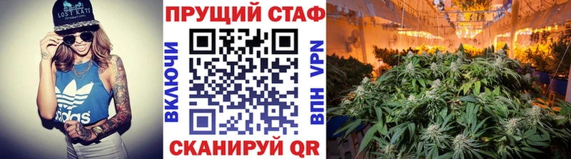 Виды наркотиков купить Пугачёв COCAIN  OMG   ГАШИШ  A PVP  Марихуана  Мефедрон 