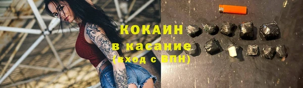 крисы Осинники