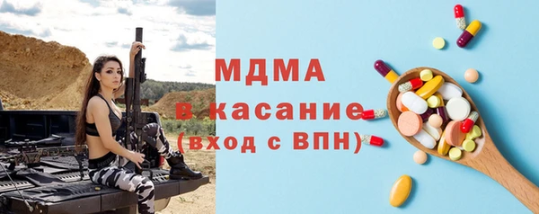 шишки Няндома