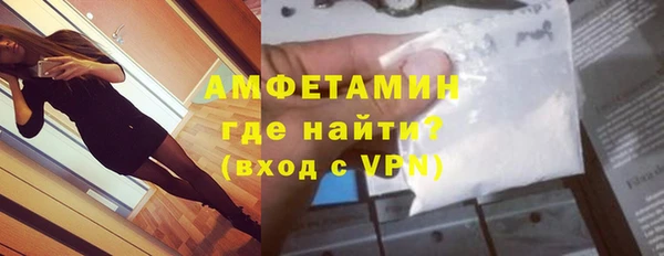шишки Няндома