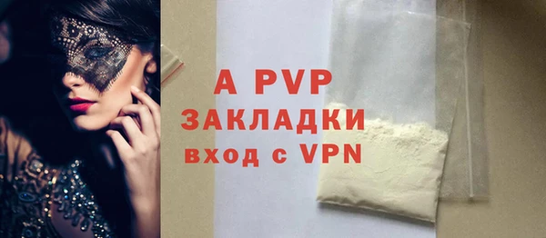 шишки Няндома