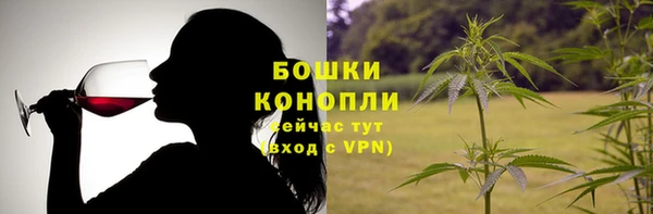 шишки Няндома