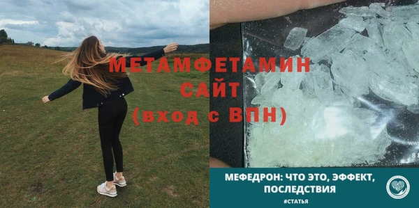 шишки Няндома