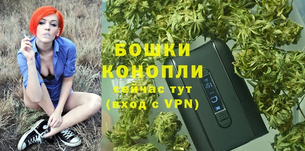 гидра Весьегонск