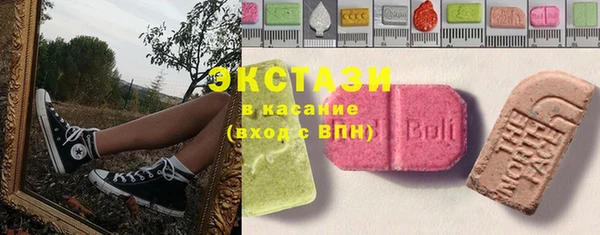 шишки Няндома