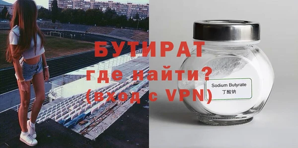 шишки Няндома