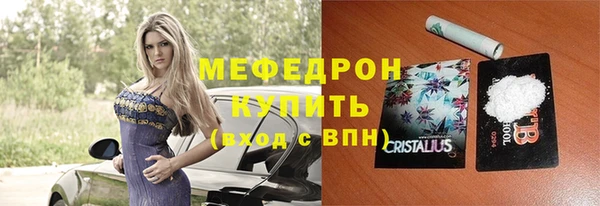 шишки Няндома