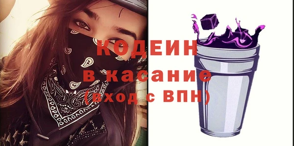 шишки Няндома