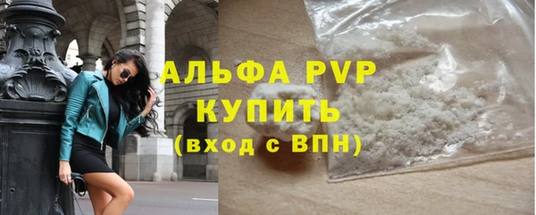 крисы Осинники