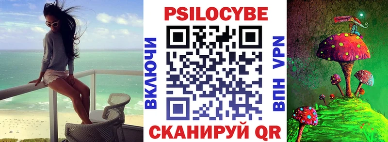 магазин  наркотиков  ссылка на мегу как войти  Галлюциногенные грибы Psilocybe  Пугачёв 